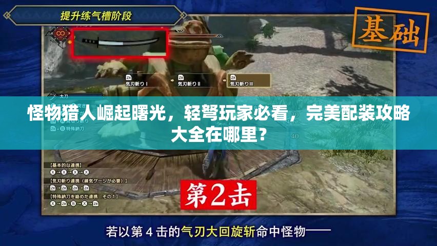 怪物猎人崛起曙光，轻弩玩家必看，完美配装攻略大全在哪里？