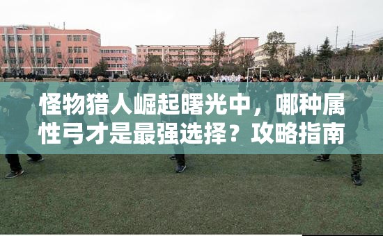 怪物猎人崛起曙光中，哪种属性弓才是最强选择？攻略指南来了！