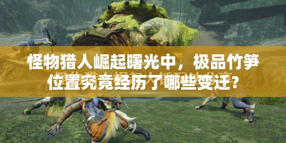 怪物猎人崛起曙光中，极品竹笋位置究竟经历了哪些变迁？