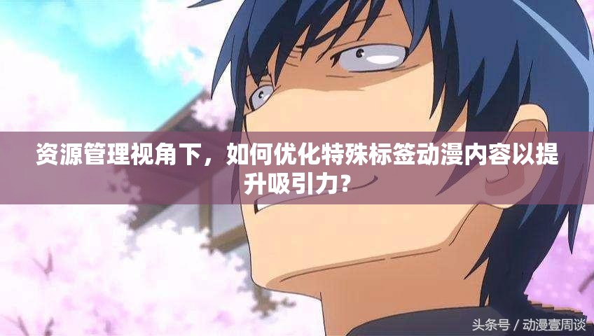 资源管理视角下，如何优化特殊标签动漫内容以提升吸引力？