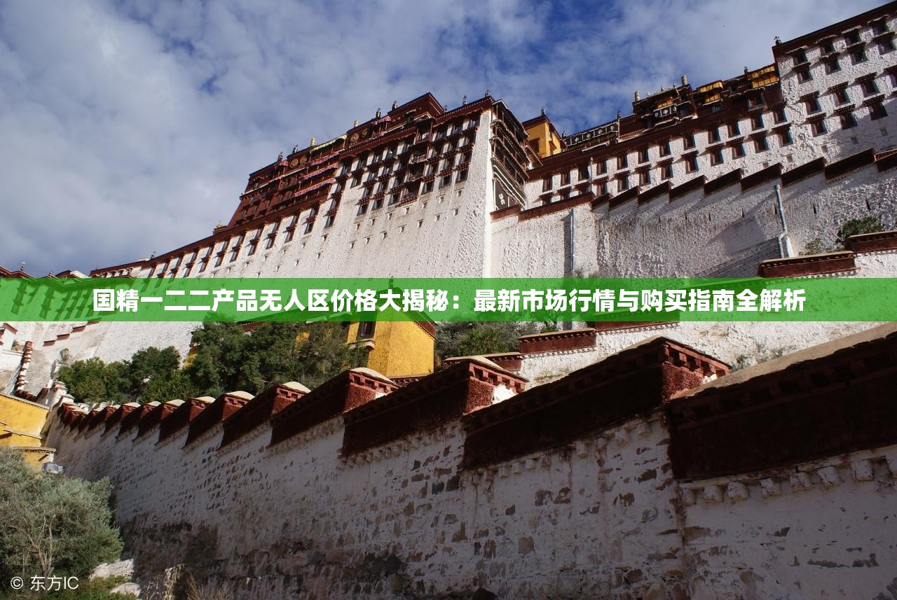 国精一二二产品无人区价格大揭秘：最新市场行情与购买指南全解析
