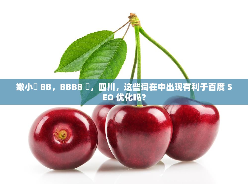 嫩小槡 BB，BBBB 槡，四川，这些词在中出现有利于百度 SEO 优化吗？