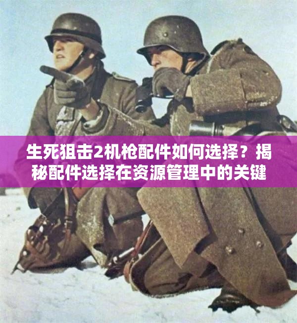 生死狙击2机枪配件如何选择？揭秘配件选择在资源管理中的关键策略