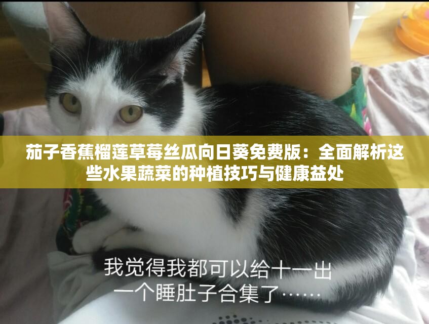 茄子香蕉榴莲草莓丝瓜向日葵免费版：全面解析这些水果蔬菜的种植技巧与健康益处