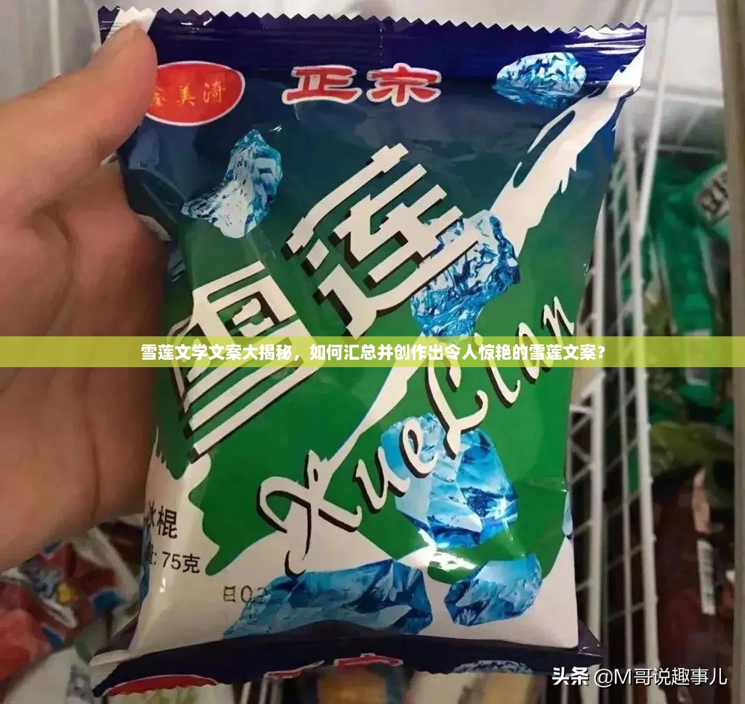 雪莲文学文案大揭秘，如何汇总并创作出令人惊艳的雪莲文案？