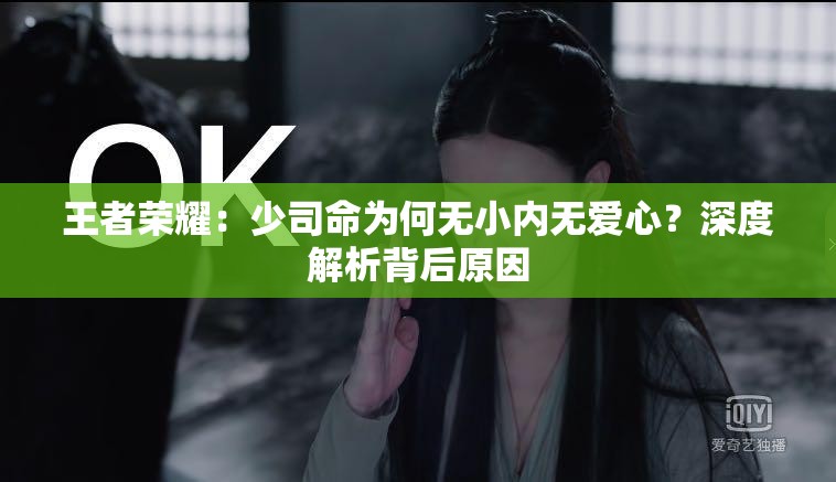 王者荣耀：少司命为何无小内无爱心？深度解析背后原因