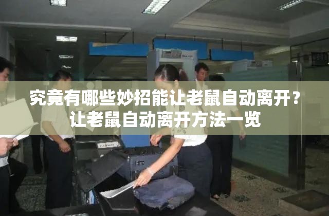 究竟有哪些妙招能让老鼠自动离开？让老鼠自动离开方法一览