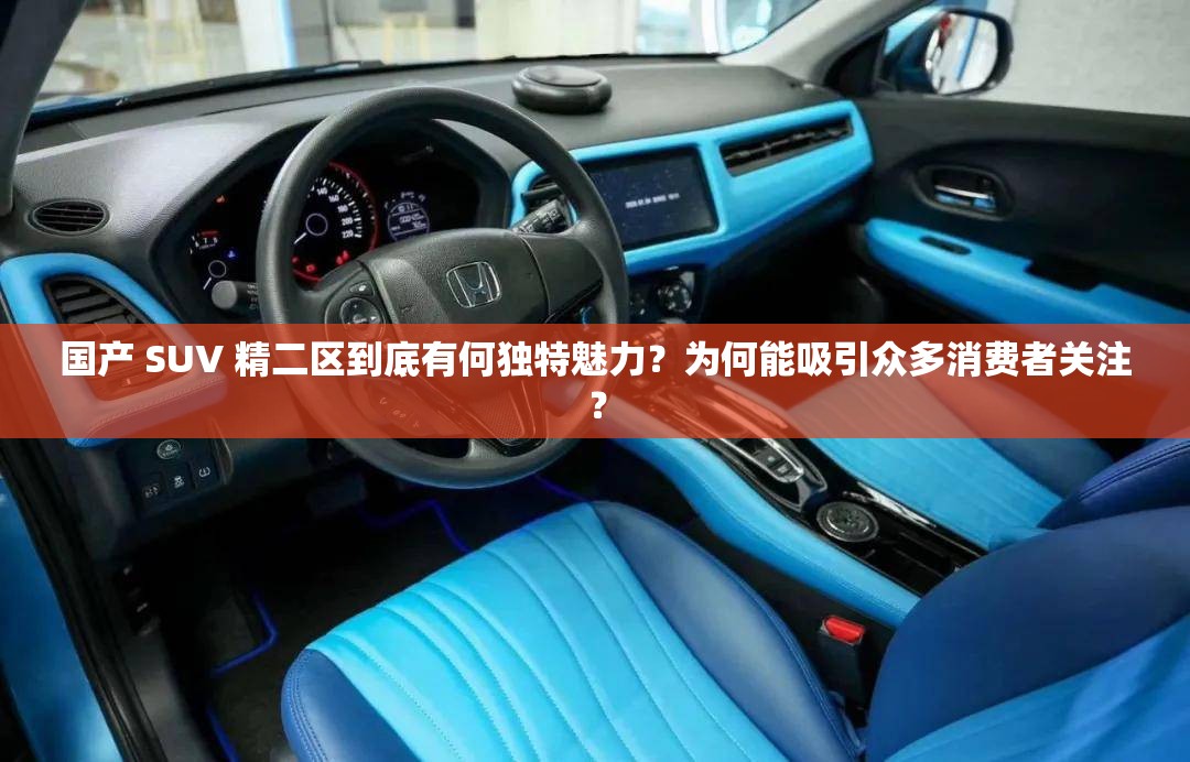国产 SUV 精二区到底有何独特魅力？为何能吸引众多消费者关注？