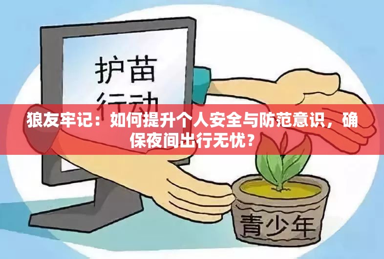 狼友牢记：如何提升个人安全与防范意识，确保夜间出行无忧？