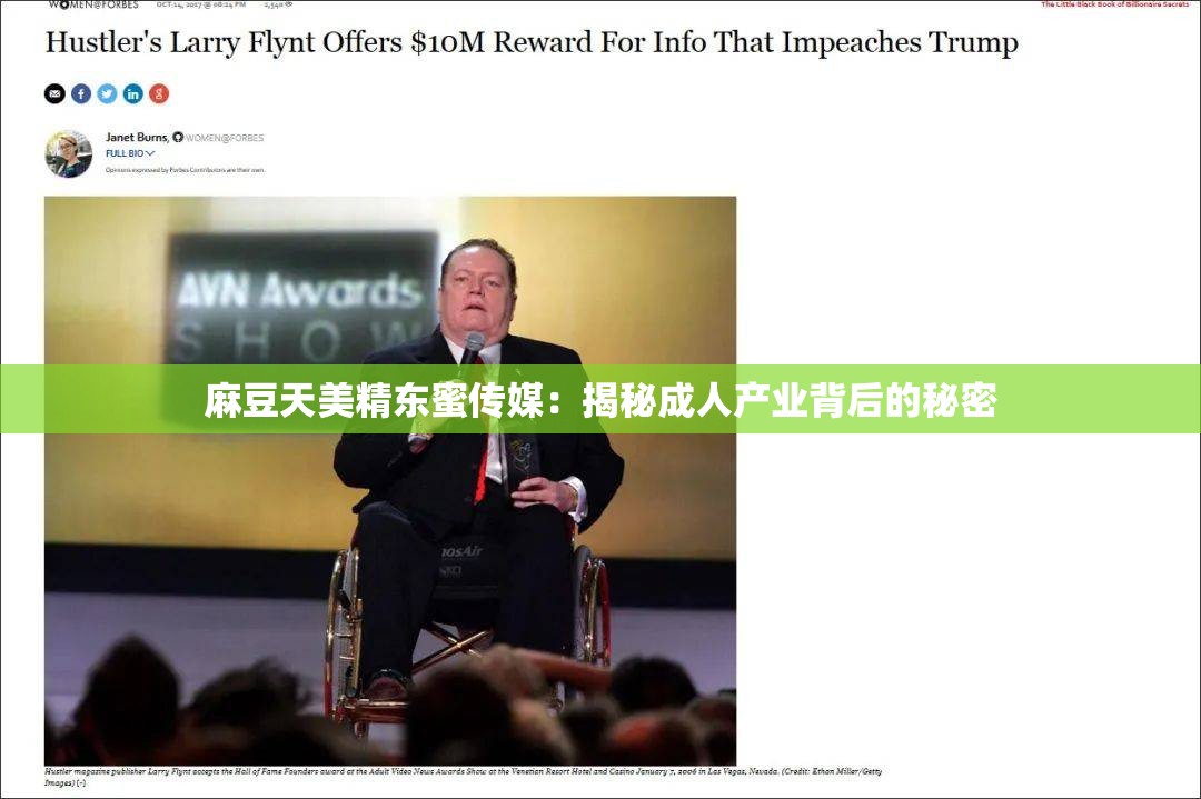 麻豆天美精东蜜传媒：揭秘成人产业背后的秘密