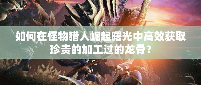 如何在怪物猎人崛起曙光中高效获取珍贵的加工过的龙骨？
