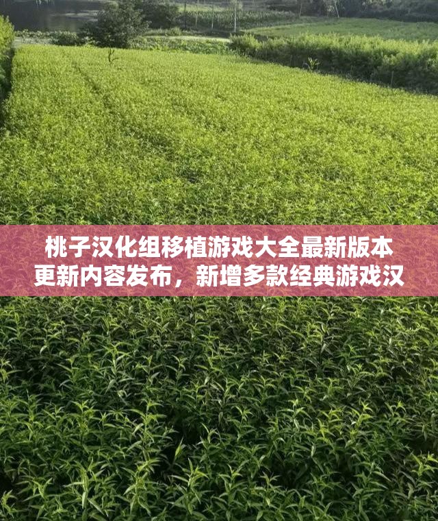 桃子汉化组移植游戏大全最新版本更新内容发布，新增多款经典游戏汉化与优化细节详解