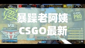 暴躁老阿姨CSGO最新版本中表现如何？揭秘她的游戏技巧与角色定位