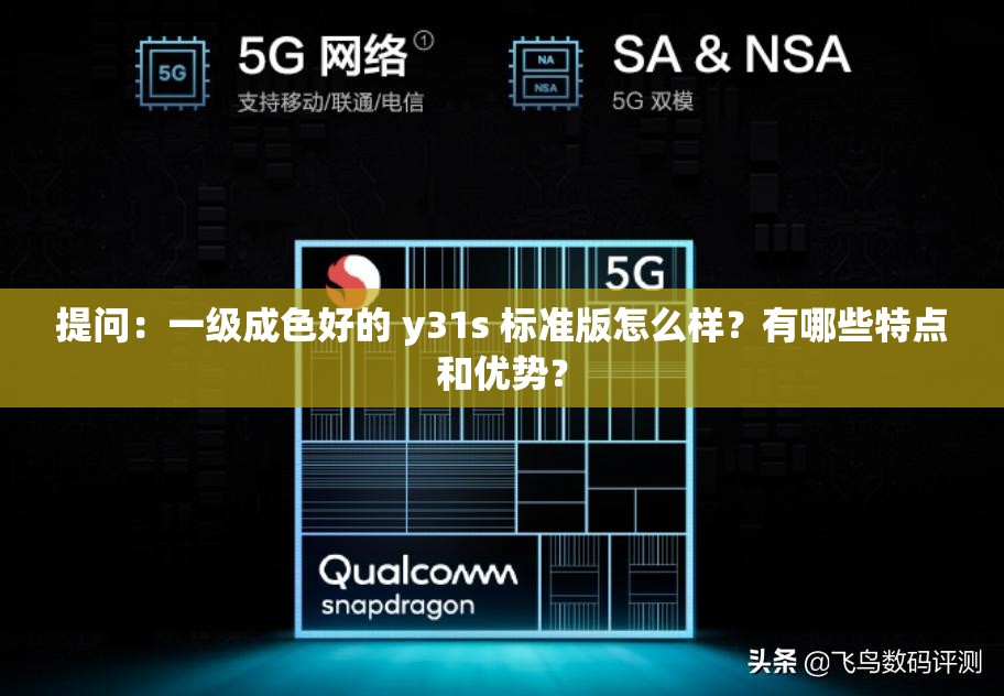 提问：一级成色好的 y31s 标准版怎么样？有哪些特点和优势？