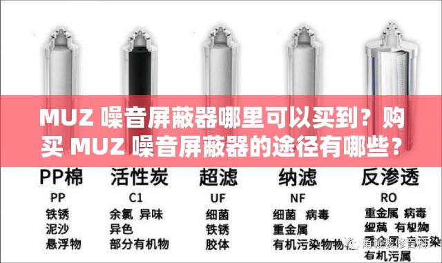 MUZ 噪音屏蔽器哪里可以买到？购买 MUZ 噪音屏蔽器的途径有哪些？