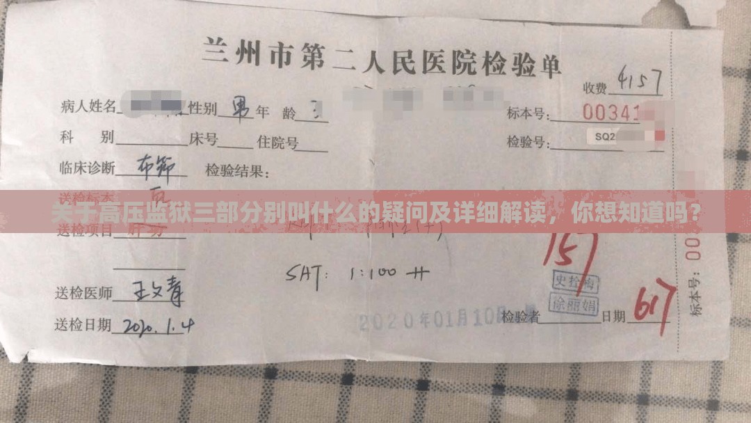 关于高压监狱三部分别叫什么的疑问及详细解读，你想知道吗？