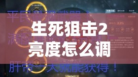 生死狙击2亮度怎么调才能达到最佳？全解析助你打造专属视觉盛宴