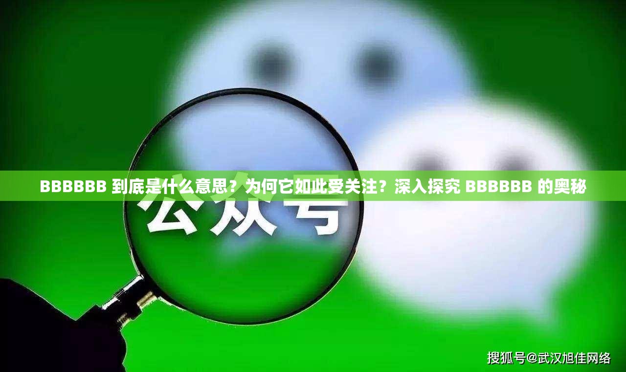 BBBBBB 到底是什么意思？为何它如此受关注？深入探究 BBBBBB 的奥秘