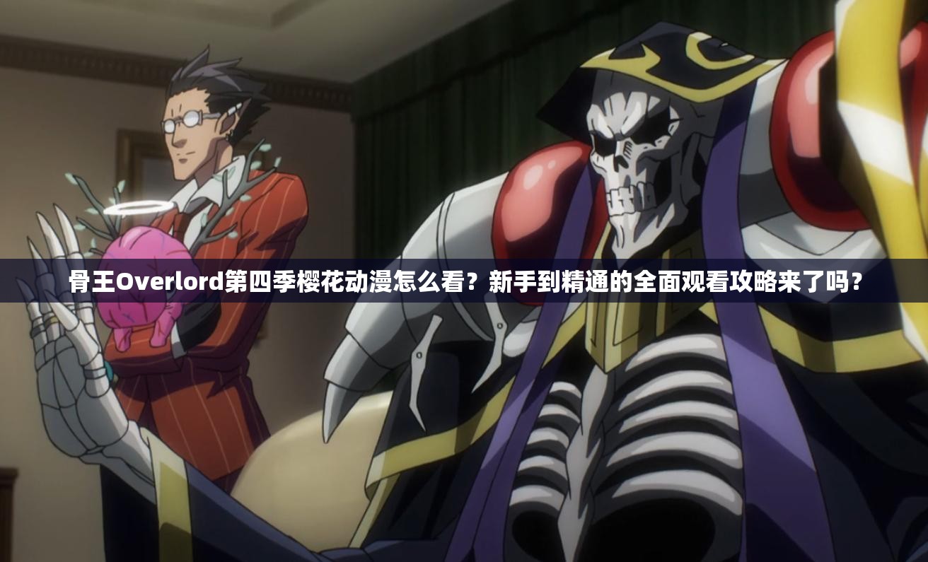 骨王Overlord第四季樱花动漫怎么看？新手到精通的全面观看攻略来了吗？