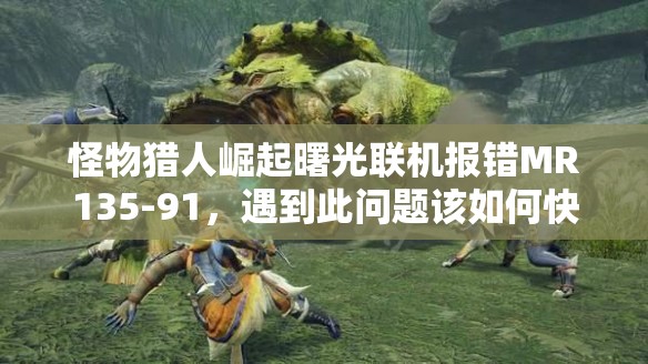 怪物猎人崛起曙光联机报错MR135-91，遇到此问题该如何快速解决？
