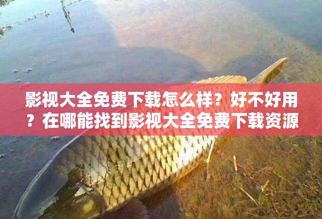 影视大全免费下载怎么样？好不好用？在哪能找到影视大全免费下载资源？