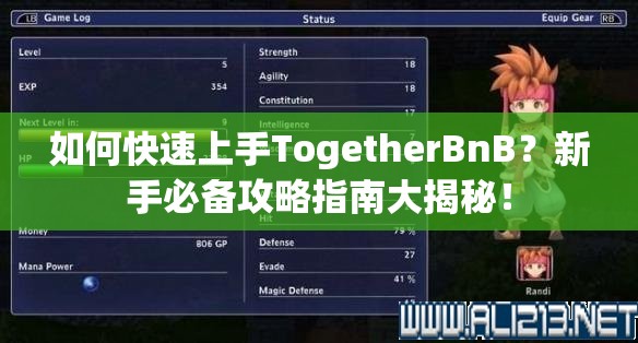 如何快速上手TogetherBnB？新手必备攻略指南大揭秘！
