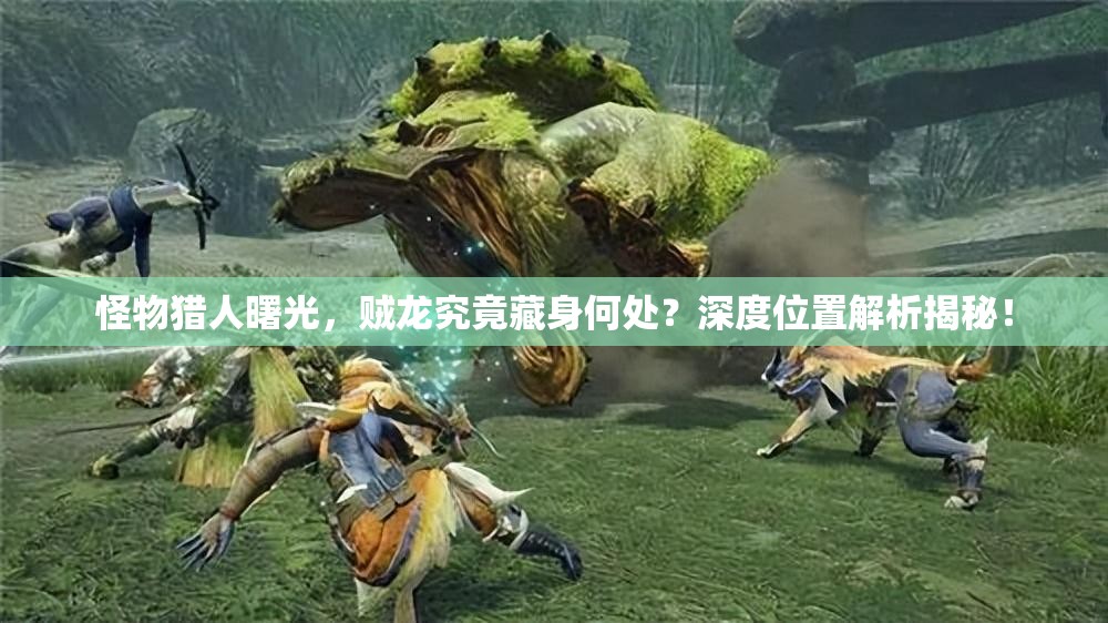 怪物猎人曙光，贼龙究竟藏身何处？深度位置解析揭秘！
