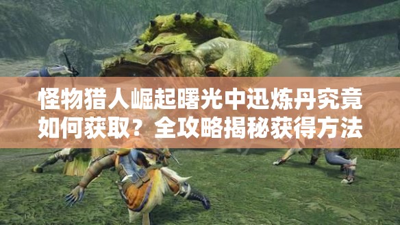 怪物猎人崛起曙光中迅炼丹究竟如何获取？全攻略揭秘获得方法