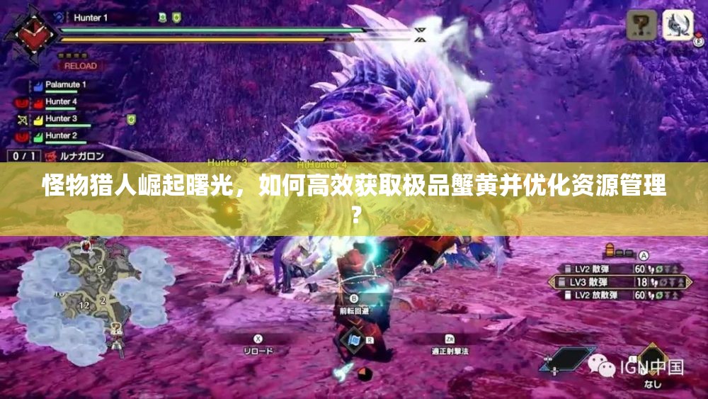 怪物猎人崛起曙光，如何高效获取极品蟹黄并优化资源管理？