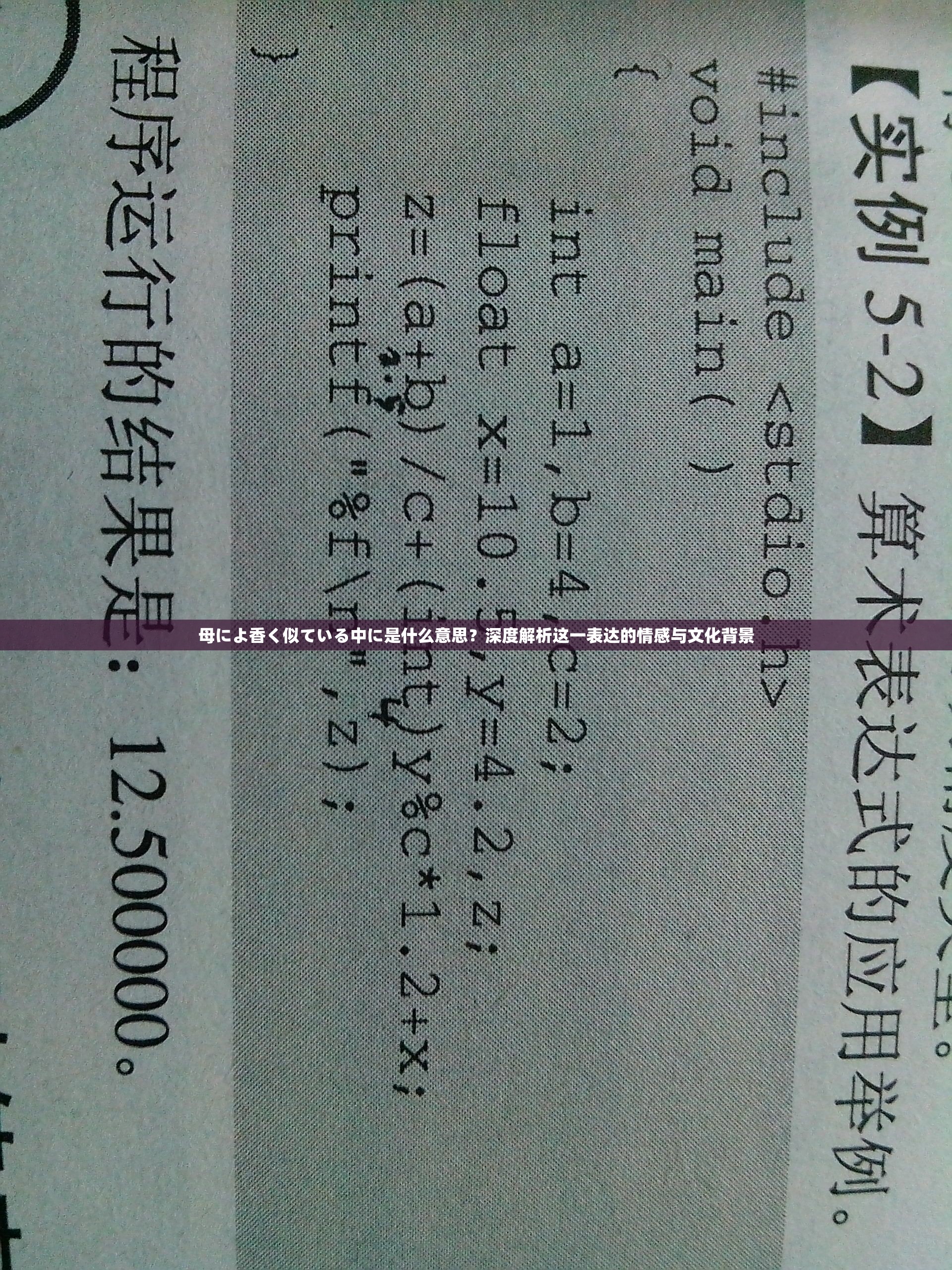 母によ香く似ている中に是什么意思？深度解析这一表达的情感与文化背景