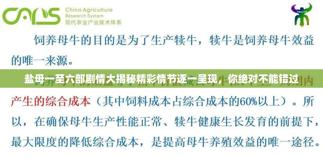 盐母一至六部剧情大揭秘精彩情节逐一呈现，你绝对不能错过