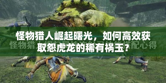 怪物猎人崛起曙光，如何高效获取怨虎龙的稀有祸玉？