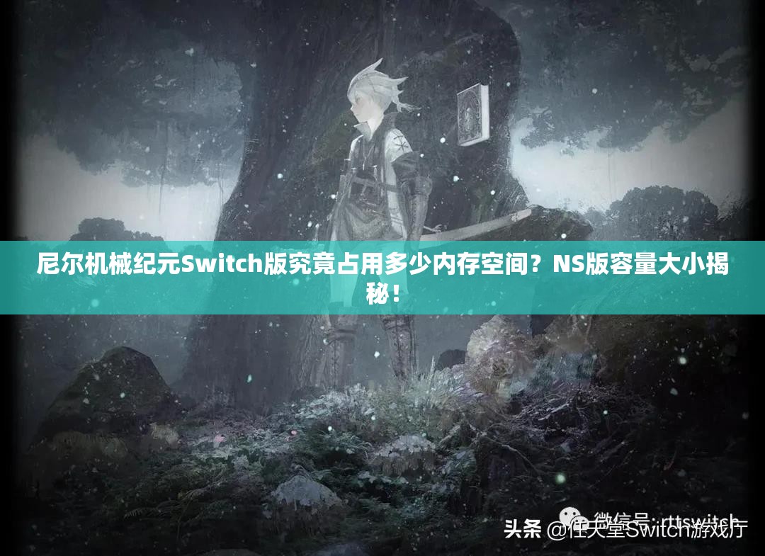 尼尔机械纪元Switch版究竟占用多少内存空间？NS版容量大小揭秘！