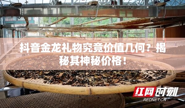 抖音金龙礼物究竟价值几何？揭秘其神秘价格！