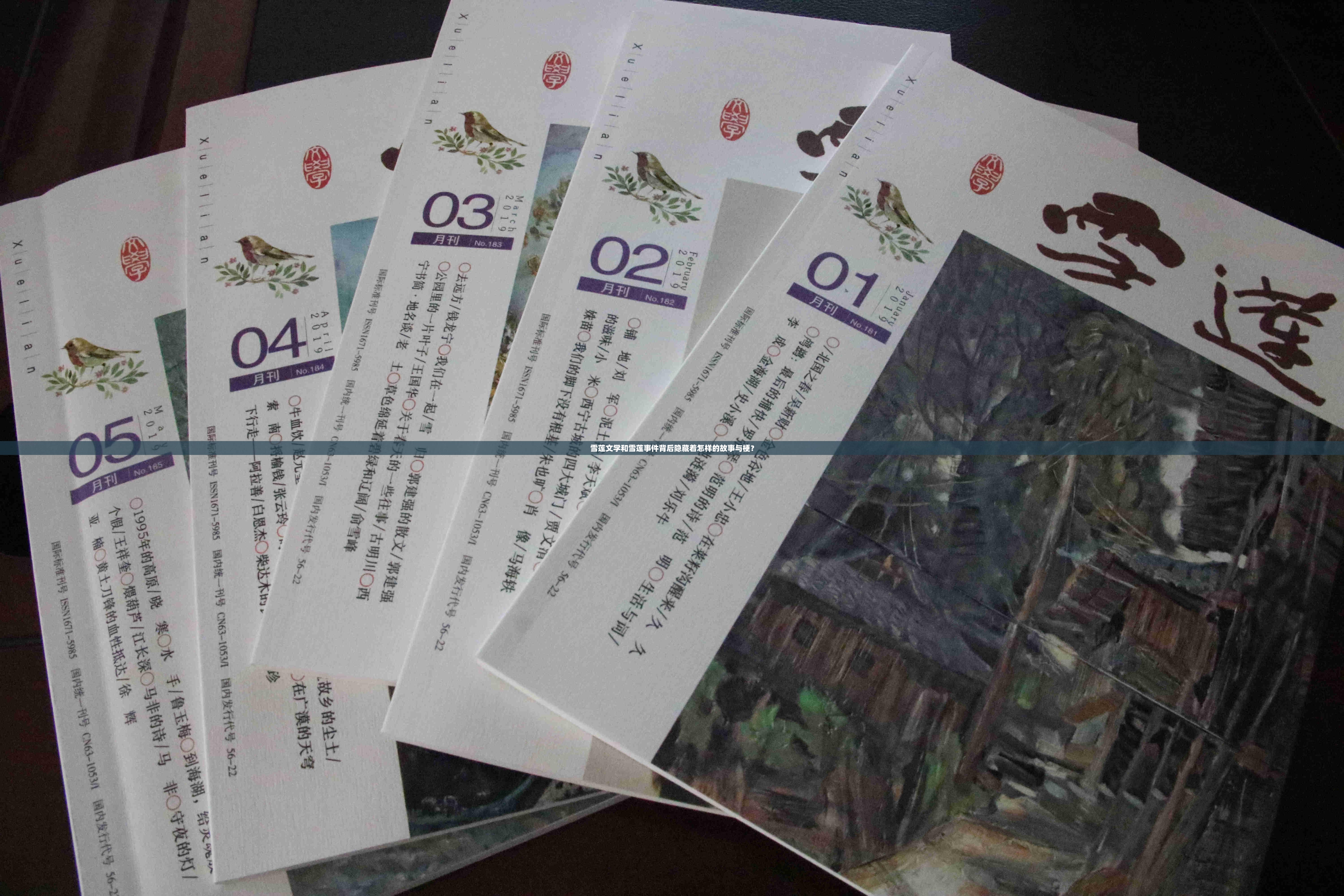 雪莲文学和雪莲事件背后隐藏着怎样的故事与梗？