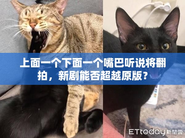 上面一个下面一个嘴巴听说将翻拍，新剧能否超越原版？