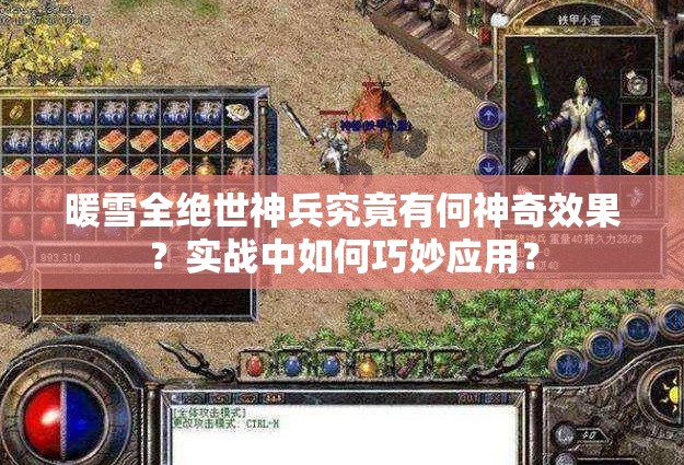 暖雪全绝世神兵究竟有何神奇效果？实战中如何巧妙应用？