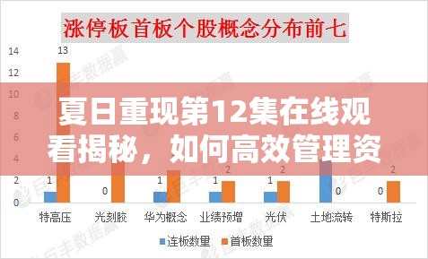 夏日重现第12集在线观看揭秘，如何高效管理资源，避免浪费成疑？