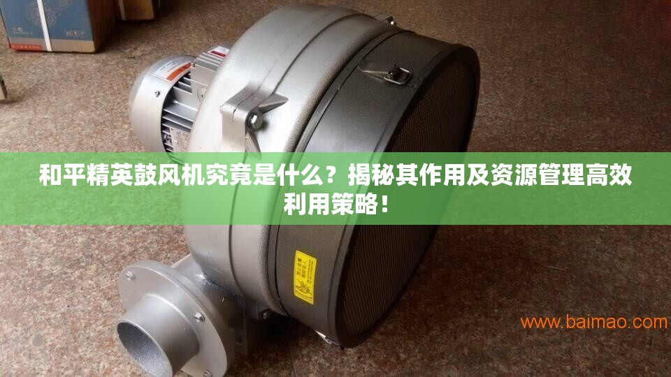 和平精英鼓风机究竟是什么？揭秘其作用及资源管理高效利用策略！