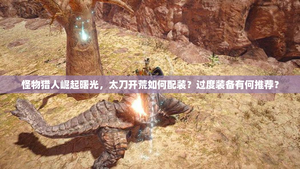 怪物猎人崛起曙光，太刀开荒如何配装？过度装备有何推荐？