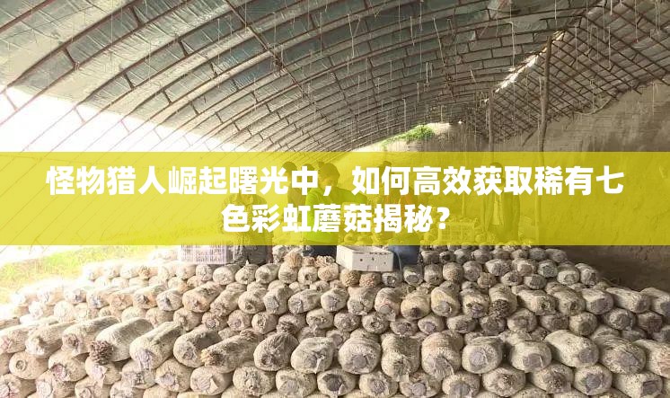 怪物猎人崛起曙光中，如何高效获取稀有七色彩虹蘑菇揭秘？