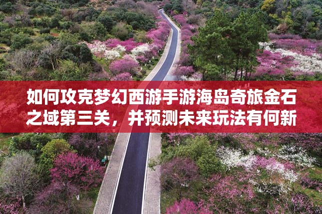 如何攻克梦幻西游手游海岛奇旅金石之域第三关，并预测未来玩法有何新变革？