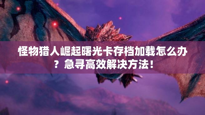 怪物猎人崛起曙光卡存档加载怎么办？急寻高效解决方法！