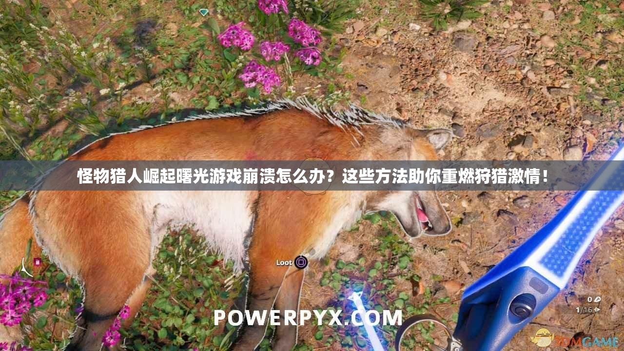 怪物猎人崛起曙光游戏崩溃怎么办？这些方法助你重燃狩猎激情！