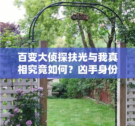 百变大侦探扶光与我真相究竟如何？凶手身份隐藏何种谜团？