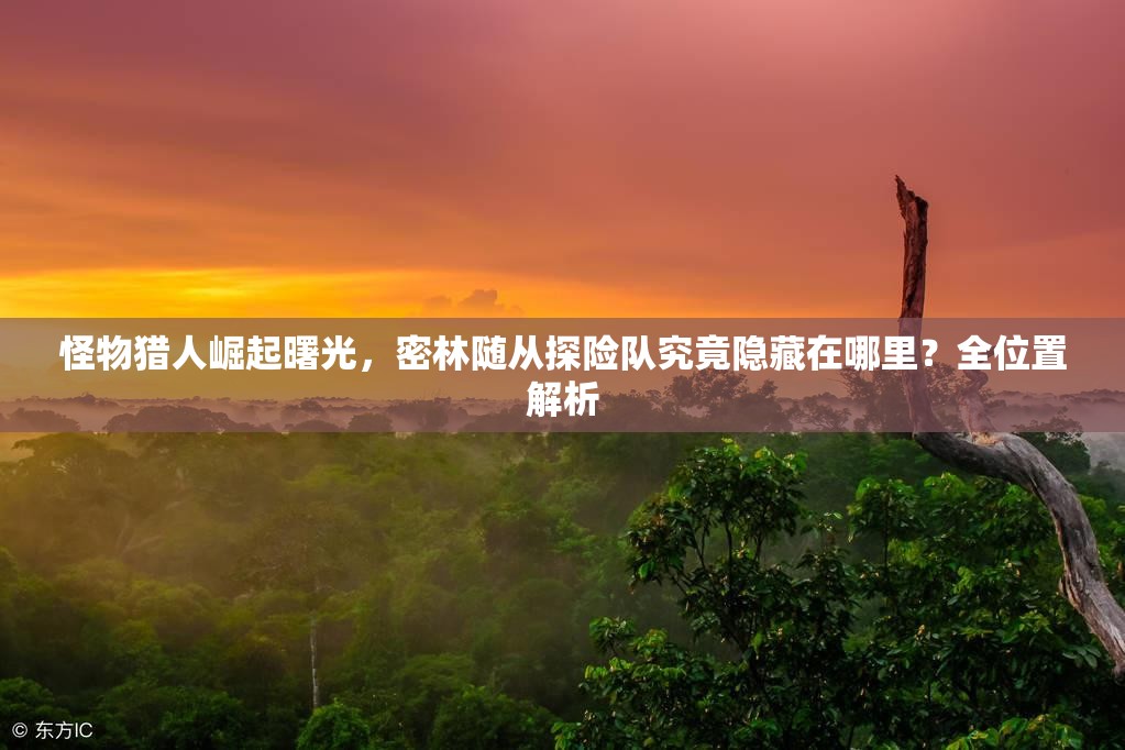 怪物猎人崛起曙光，密林随从探险队究竟隐藏在哪里？全位置解析