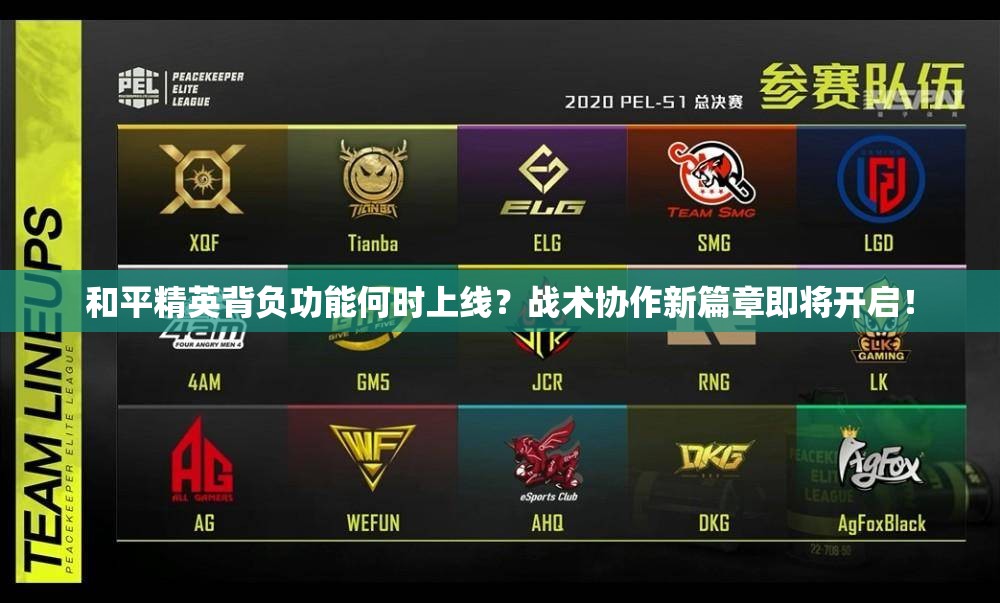 和平精英背负功能何时上线？战术协作新篇章即将开启！