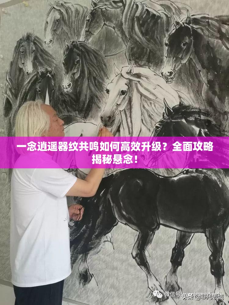 一念逍遥器纹共鸣如何高效升级？全面攻略揭秘悬念！