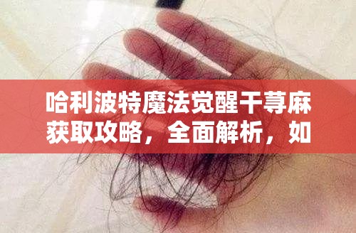 哈利波特魔法觉醒干荨麻获取攻略，全面解析，如何轻松拿到染发材料？