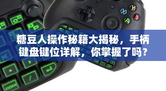 糖豆人操作秘籍大揭秘，手柄键盘键位详解，你掌握了吗？